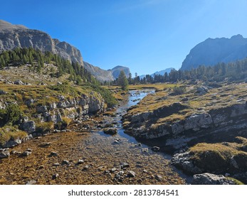Clear mountain stream flowing through alpine meadow on Alta Via 1 between Sennes and Scotoni, surrounded by Dolomite cliffs, pine forest, and rocky terrain.