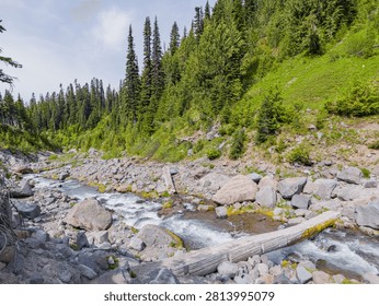 A clear mountain stream flows over rocks and a fallen log in a lush green valley surrounded by coniferous trees in Washington state.
