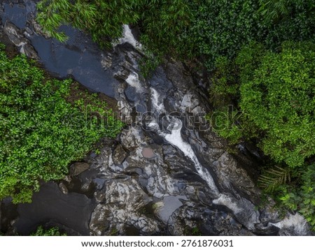 Clear mountain stream running through a rocky riverbed, Nature landscape with a babbling brook and vibrant green foliage
