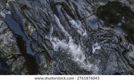 Clear mountain stream running through a rocky riverbed, Nature landscape with a babbling brook and vibrant green foliage