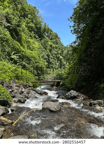 Clear Mountain Stream with Small Bridge in Lush
Bali Jungle