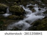 A clear mountain stream tumbling over moss-covered boulders in Kuragari Valley, Okazaki, Aichi, Japan. Silky rapids and fresh green foliage convey coolness and calm, perfect for travel, wellness, healing visuals and natural backgrounds.