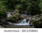 A clear mountain stream tumbling over moss-covered boulders in Kuragari Valley, Okazaki, Aichi, Japan. Silky rapids and fresh green foliage convey coolness and calm, perfect for travel, wellness, healing visuals and natural backgrounds.