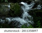A clear mountain stream tumbling over moss-covered boulders in Kuragari Valley, Okazaki, Aichi, Japan. Silky rapids and fresh green foliage convey coolness and calm, perfect for travel, wellness, healing visuals and natural backgrounds.