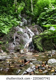 Clear Mountain Waterfall With A Thin Jet Of Water. Water Flows Down A Large Stone, Into A Stream. Clean, Clear Water. Around The Forest. No People.