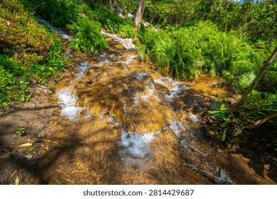 A clear natural stream flows down golden limestone rocks at Thararak Waterfall in Mae Sot, Tak, Thailand. Fresh water ripples through a small creek, surrounded by lush green ferns and wild plants.