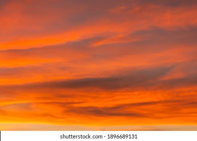 オレンジ空 の画像 写真素材 ベクター画像 Shutterstock