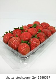 a clear plastic container holding multiple strawberries ,(fragaria ananassa) with bright red exteriors covered in small yellow seeds, each topped with green leafy calyxes, placed against a plain white