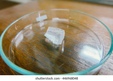 Clear Polybutadiene Rubber On Glass Petri Dish