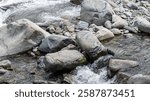 Clear river water flowing over smooth rocks, creating small rapids in a natural setting.