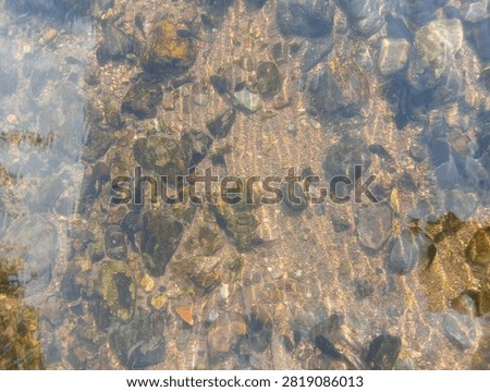 Clear riverbed with colorful pebbles and moss under water sun glare.