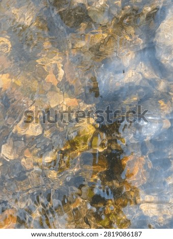 Clear riverbed with colorful pebbles and moss under water sun glare.