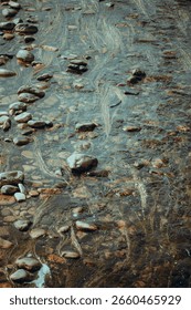 Clear shallow stream with smooth river stones and strands of aquatic grass flowing with the current, creating gentle patterns under sunlight in a tranquil natural setting