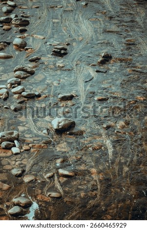 Clear shallow stream with smooth river stones and strands of aquatic grass flowing with the current, creating gentle patterns under sunlight in a tranquil natural setting