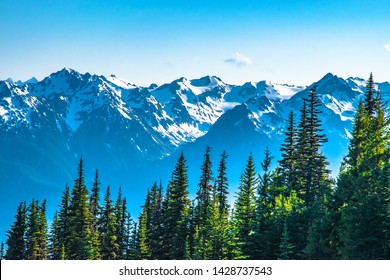 Clear Skies Over Mountains in Olympic National Park, Washington