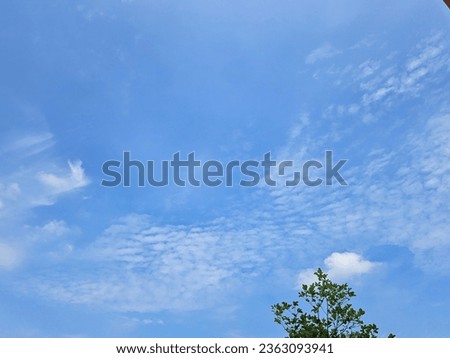 Similar – Image, Stock Photo Sky with little clouds and 2 different trees, bare and spring greenery