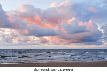 Clear sky and lots glowing colorful pink cumulus clouds above the Baltic sea shore after thunderstorm at sunset  Dramatic cloudscape  Warm golden sunlight  Picturesque scenery  Fickle weather