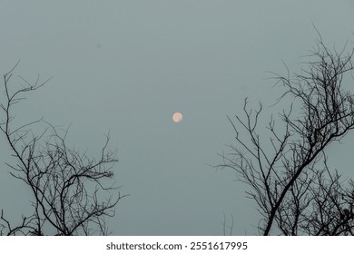 A clear sky scene with the full moon centered, framed by bare tree branches creating a minimalistic and serene composition. - Powered by Shutterstock