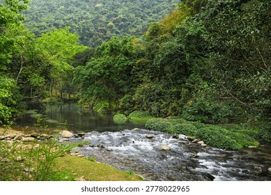 Clear Stream Flowing Through Forest in Pac Bo Vietnam