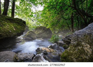 Clear Stream Flowing Through Forest in Pac Bo Vietnam