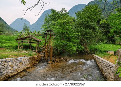 Clear Stream Flowing Through Forest in Pac Bo Vietnam