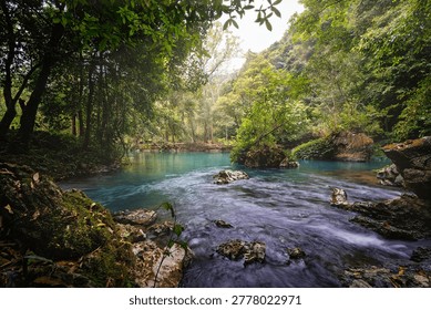 Clear Stream Flowing Through Forest in Pac Bo Vietnam