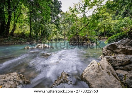 Clear Stream Flowing Through Forest in Pac Bo Vietnam