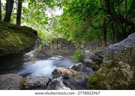 Clear Stream Flowing Through Forest in Pac Bo Vietnam