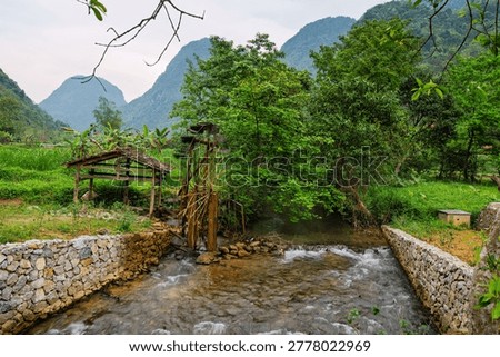 Clear Stream Flowing Through Forest in Pac Bo Vietnam