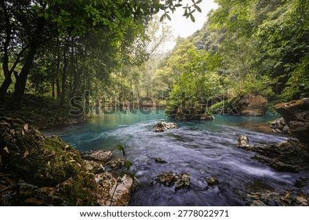 Clear Stream Flowing Through Forest in Pac Bo Vietnam