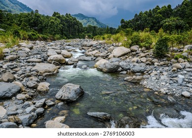 A clear stream flows over large rocks through dense green vegetation in the Rwenzori foothills near Kasese, Uganda. Forested slopes and low clouds fill the background