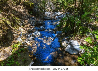 A clear stream flows through a lush, tree-shaded rocky ravine reflecting the bright sky in central Portugal.