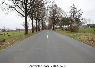 A clear and tranquil country road runs through fields and trees under a minimalist winter sky - Powered by Shutterstock