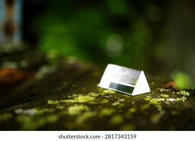 A clear triangular glass prism rests on rustic wood amid bright patches of moss. Sunlight reveals crisp internal reflections and dispersion while the forest background melts into gentle blur.