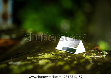 A clear triangular glass prism rests on rustic wood amid bright patches of moss. Sunlight reveals crisp internal reflections and dispersion while the forest background melts into gentle blur.