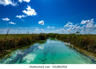 Clear Turquoise Water In Sian Ka'an Biosphere Reserve Marsh