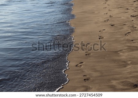 Clear vertical devision of ocean and sand, capturing light refelctions and human footprints. Perfect for holidays, travel, background pictures.