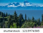 Clear view of Mount Redoubt from Anchor Point Alaska on a sunny day. Fireweed and trees in the foreground