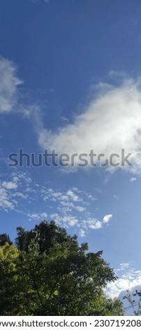 a clear view of the sky with clean white clouds and shady trees during the dry season in the tropics of Indonesia. 