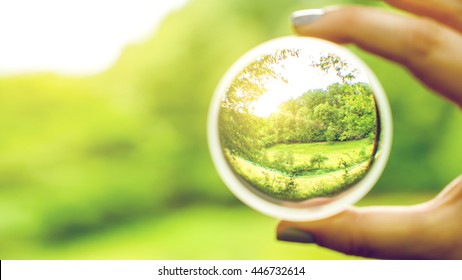Clear view through contact lense on nature