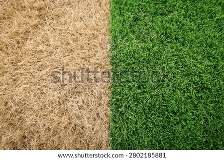 A clear visual comparison showing the stark difference between a vibrant, healthy green lawn and a neglected, dry, dead brown lawn.