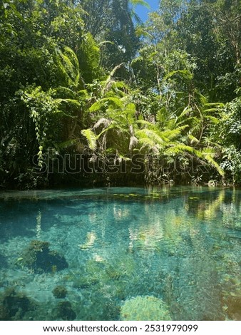 Similar – Pool with jungle