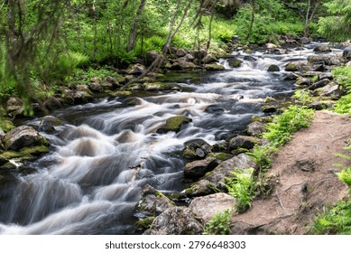 Clear water flows quickly through rocky forest stream surrounded by moss, trees fresh spring greenery, and natural dirt path along the bank under soft