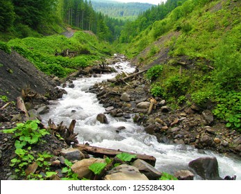The clear water of a mountain river passes through a cascade of boulders along winding canyons between the hills of the Carpathian Mountains.