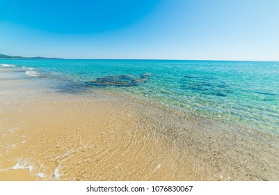 55 Piscina Rei Images, Stock Photos & Vectors | Shutterstock