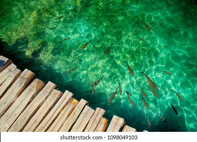 Clear water in Plitvice lakes- fishes and boat. There is wooden bridge from planks. 