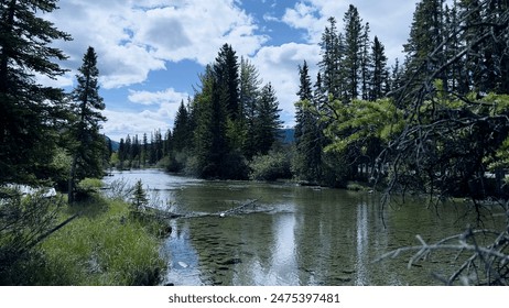 The clear water reveals the riverbed and scattered rocks, creating a serene natural setting, likely in a forested area. A fitting topic for this image could be “The Tranquil Beauty of River Ecosystems - Powered by Shutterstock