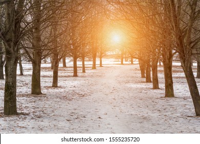 Clear Winter Day In City Public Park In Morning Time, Frosty Weather