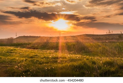 Clearing in the evening light