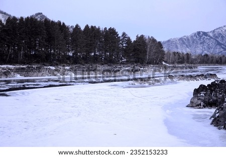 A clearing on the frozen bed of a beautiful river flowing through a snow-covered valley in the mountains on a winter morning. Katun river, Altai, Siberia, Russia.